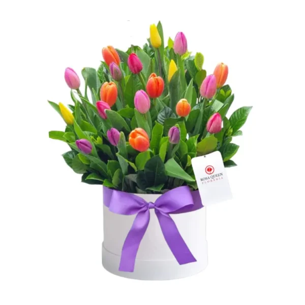 Tulipanes 4