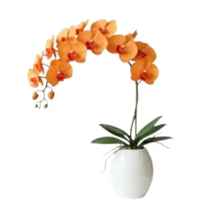 Flores en maceta fm07