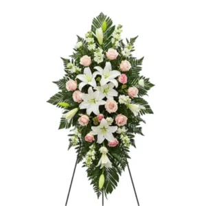 Parante mediano l01ordenar